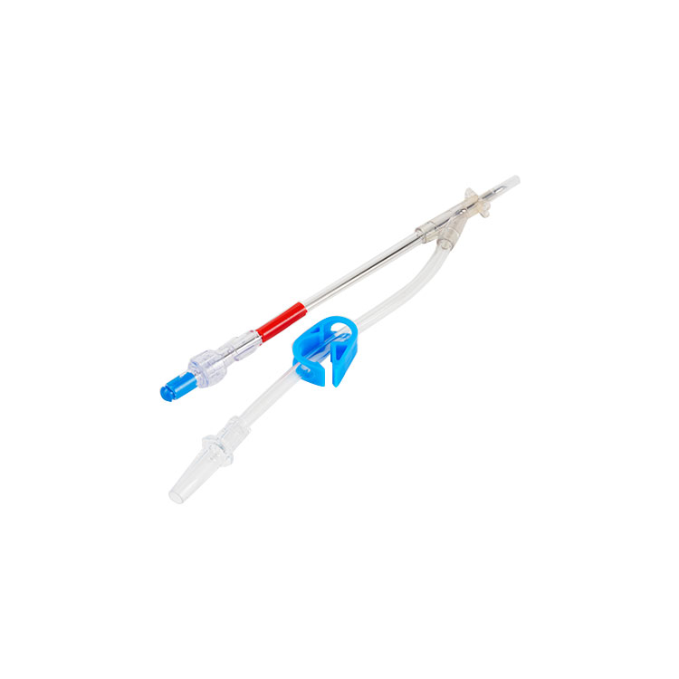 Aortic Root Cannula